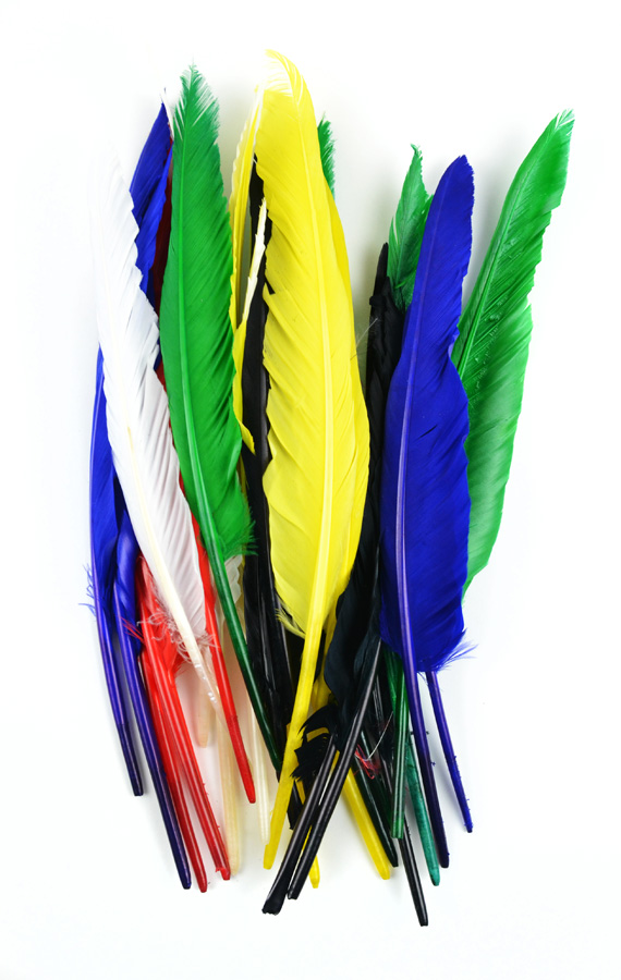 Decorative Feather Assorted Color