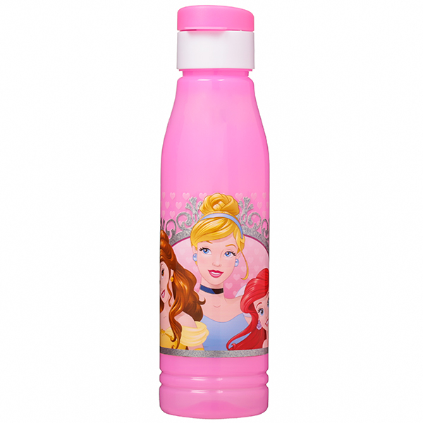SKI Disney princess Tokyo Water bottle