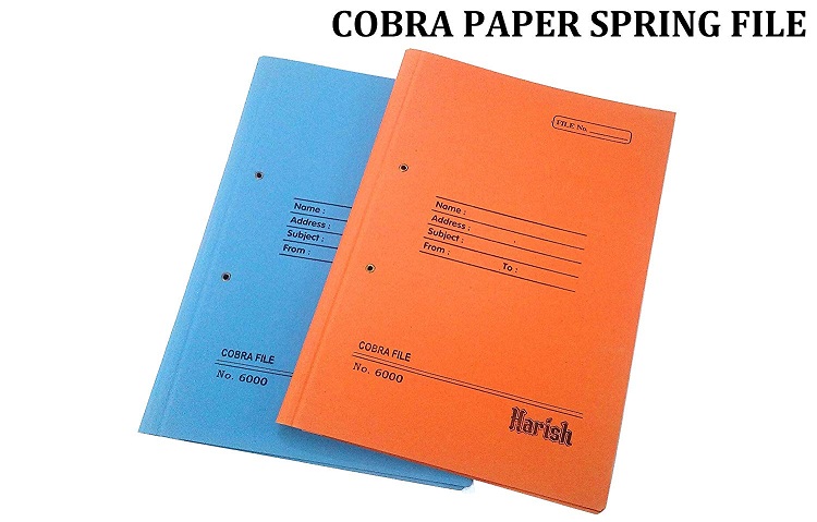 Cobra File No 6000 Heavy (Pack of 10)